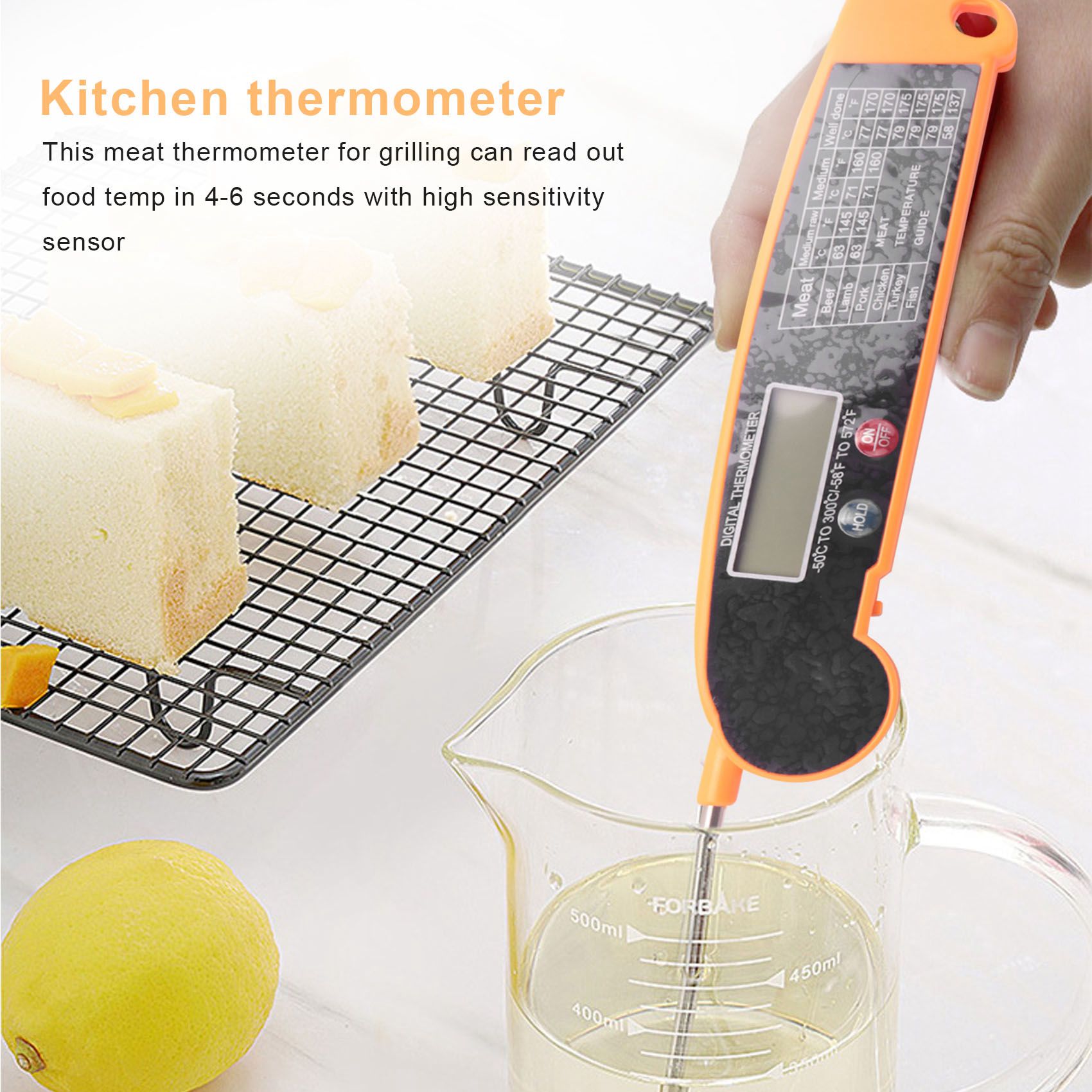 Digitales, sofort ablesbares F – Thermometer Digital Bewertung und Preis